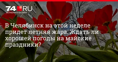 Майские праздники в магазине «ЦДМ Игрушки» 2023: скидки и акции, расписание  мероприятий, программа