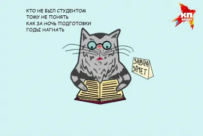 Галкин с размахом отметил юбилей в разгар жёстких ограничений в Москве ::  Новости :: ТВ Центр