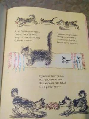 Набор постельного белья «Мистер Марины», смешные одеяла из фланели, шерпа,  одеяло, мангалы, собака, Харадзюку, домашний декор, кавайный Декор для  комнаты | AliExpress