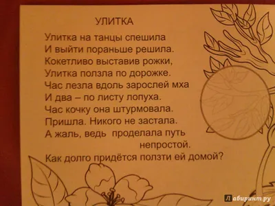 Мой 6-летний племянник: я знаю всю математику! Я: да? Сколько будет 2-3  Племянник: / смешные картинки (фото приколы) / смешные картинки и другие  приколы: комиксы, гиф анимация, видео, лучший интеллектуальный юмор.