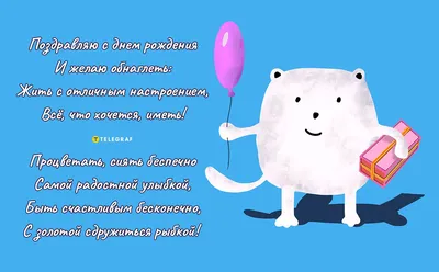 Кто здесь самый смешной? Эти фото доказывают, что собаки больше всего  заслуживают этого звания