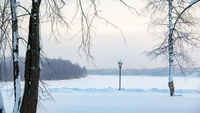 Блядский снег! Почему обязательно надо грести в такую метель?! Заткнись!  Заткнись! / косари :: cynic mansion :: снег :: Смешные комиксы (веб-комиксы  с юмором и их переводы) / смешные картинки и другие