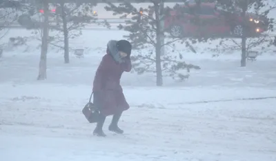 МЧС: сильный снегопад может продлиться в Петербурге весь день — видео