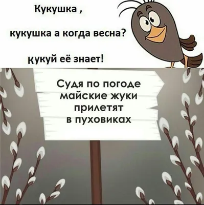 Красная Поляна в 2023 году: горнолыжные курорты, трассы, отели, стоимость  ски-пассов