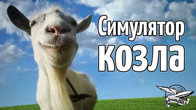 Коза с языком (52 фото)