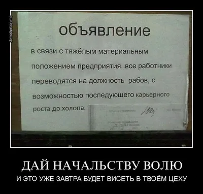 начальство / смешные картинки и другие приколы: комиксы, гиф анимация,  видео, лучший интеллектуальный юмор.