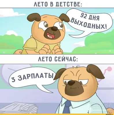 Общие новости