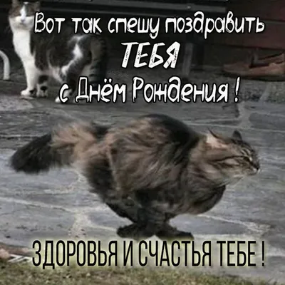 https://dzen.ru/a/ZY_aTEOOuwmHJCt3