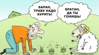 Авокадо Наркоман Смешные Надписи Говорят Векторная Иллюстрация — стоковая  векторная графика и другие изображения на тему Авокадо - iStock