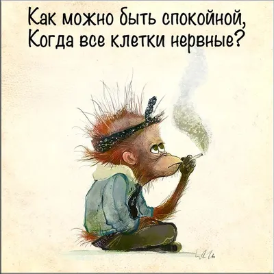 В любой непонятной ситуации успокойся, ляг... | Юмор о работе, Смешно,  Веселые картинки