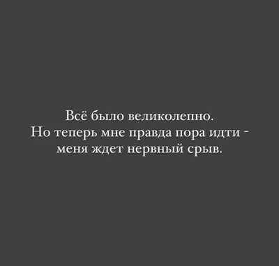 Записки ветеринара. Немного о жизни с нервными котами. Смешные переписки |  СобачьЯ жизнь | Дзен