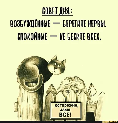 СОВЕТ ДНЯ: ВОЗБУЖДЕННЫЕ - БЕРЕГИТЕ НЕРВЫ. СПОКОЙНЫЕ - НЕ БЕСИТЕ ВСЕХ.  осторожно, злые СЕ! - ) / Ай… | Юмористические цитаты, Смешные  высказывания, Смешные поговорки