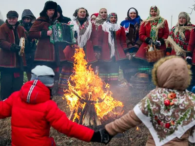 Хомяки на белой предпосылке, хомяки едят сухую еду Стоковое Изображение -  изображение насчитывающей мало, изображение: 115399409