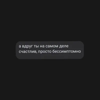 капибара сидят в одиночестве животных смешные Фото Фон И картинка для  бесплатной загрузки - Pngtree