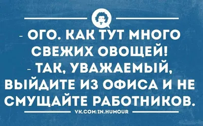 Очень смешные фото картинки про офисных работников