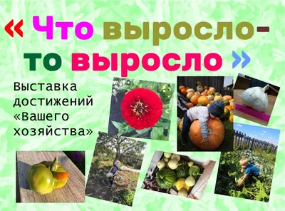 Книга АСТ Праздник непослушания Рисунки Огородникова Г Добрые сказки купить  по цене 342 ₽ в интернет-магазине Детский мир