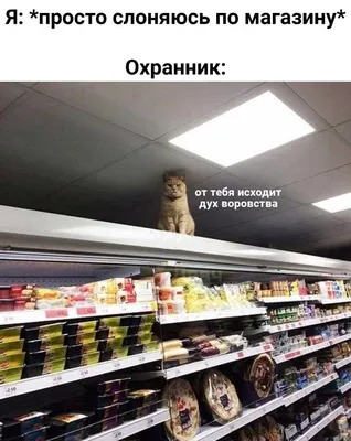 Картинки про охрану смешные