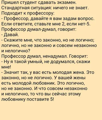 Летящая белка, затаившийся пингвин: самые смешные фото животных 2022 года -  Газета.Ru