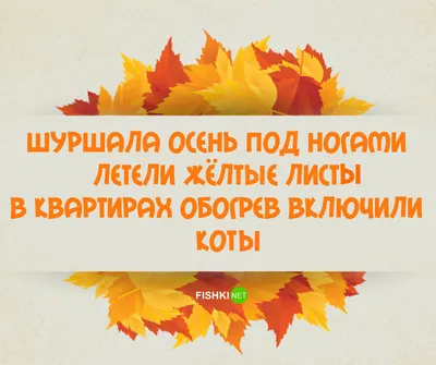 Навеяла грусти поздняя осень — глянуть на котиков милости просим (смешные  фото кошек) | Мой обожаемый кот | Дзен