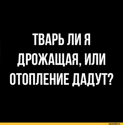 ТВАРЬ ЛИ Я ДРОЖАЩАЯ, ИЛИ ОТОПЛЕНИЕ ДАДУТ? / Тварь ли я дрожащая или право  имею :: падла :: ЖКХ :: правда :: юмор (юмор в картинках) / смешные  картинки и другие приколы: