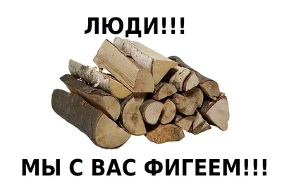 Шутка про отопление дровами в Польше перестала быть смешной. | Русский мир.  | Дзен