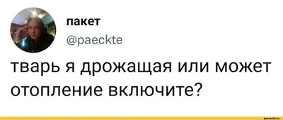 Когда включат отопление в Петербурге в 2023 году