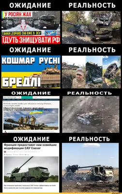 Ожидание VS реальность» — 10 смешных фото, которые показывают, что  действительность не совпадает с ожиданиями | Zinoink о комиксах и шутках |  Дзен