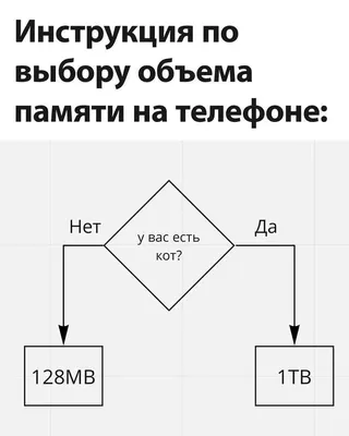 фото на память :: обезьяна / смешные картинки и другие приколы: комиксы,  гиф анимация, видео, лучший интеллектуальный юмор.