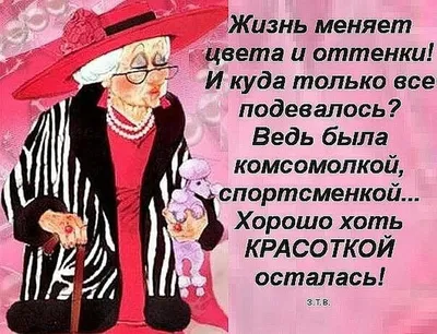 Россия: смешная дюжина веселых анекдотов про пенсию и пенсионеров | Мои  любимые путешествия | Дзен