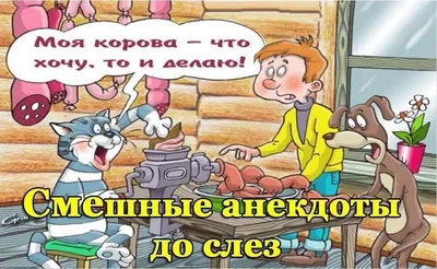 Смешные анекдоты. | Альфия Зиганшина | Дзен