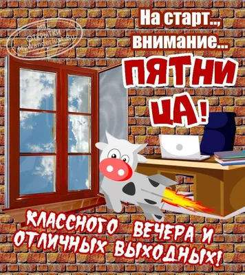 Смешные картинки про пятницу и выходные