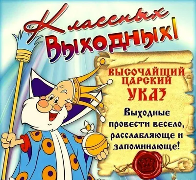 Выходной — обсуждение в группе \"Смешные фото и видео животных\" | Птичка.ру