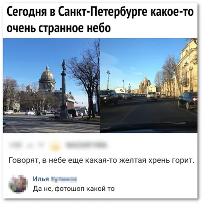 Смешные картинки про питер