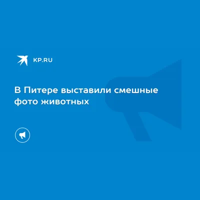 КАК ВИДЯТ САНКТ-ПЕТЕРБУРГ гоголь толстой ПУШКИН ДОСТОЕВСКИЙ МЕСТНЫЕ ЖИТЕЛИ  / Мемы (Мемосы, мемасы, мемосики, мемесы) :: смешные картинки (фото  приколы) / смешные картинки и другие приколы: комиксы, гиф анимация, видео,  лучший интеллектуальный юмор.