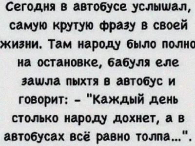 Мемчики и смешные картинки с кошками и собаками | Подслушано-Истории | Дзен