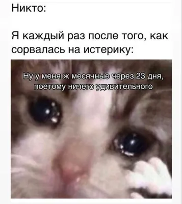 Пин от пользователя ଘ( ິ•ᆺ• )ິଓ на доске memes в 2023 г | Мемы, Смешные  фотографии спорта, Веселые мемы