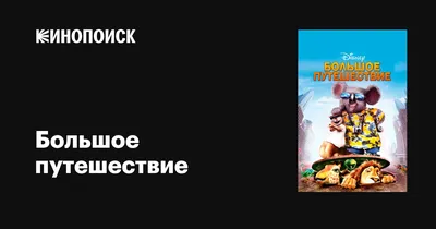 Носки компрессионные до колена для девочек-подростков, хлопковые модные  смешные Носки с рисунком сердца для поездок и занятий спортом, 1 пара |  AliExpress