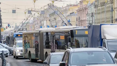 Самые смешные фотографии дикой природы 2021 года | Фото | Культура |  Аргументы и Факты