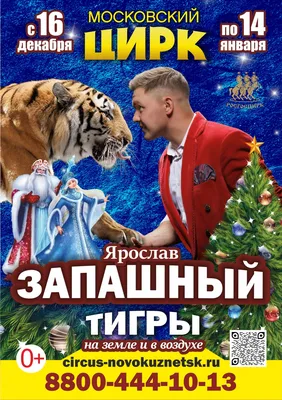 Взгляните на работы 16-летней художницы: она рисует смешные комиксы о  трудностях взрослой жизни, с которыми приходится потихоньку… | Instagram