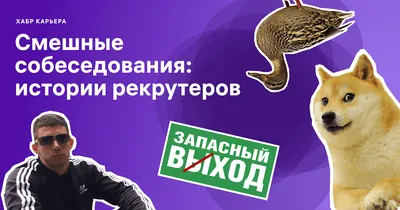 Торт смешной Про работу на заказ, купить Торт смешной Про работу от  компании ТортоФФ в Барнауле недорого