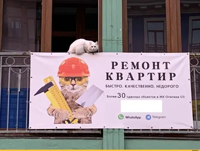 Смешные картинки про ремонт в квартире