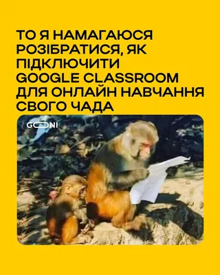 21:00 — именно в это время дети признаются родителям, что завтра в школу  нужно принести поделку, до / дети :: родители :: Буквы на белом фоне /  смешные картинки и другие приколы: