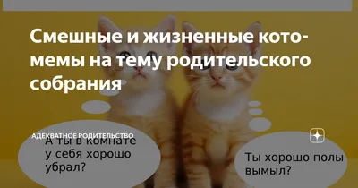 Смешные и жизненные кото-мемы на тему родительского собрания | Адекватное  родительство | Дзен