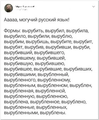 мужчина вытаскивал свой кошачий язык, смешные мемы и картинки фон картинки  и Фото для бесплатной загрузки