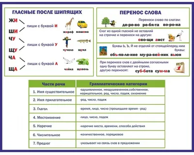 Русский язык. Разноуровневые задания. 2 класс купить на сайте группы  компаний «Просвещение»