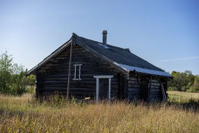 Ах, баня, малиновый ты жар: отличаются ли русская баня, финская