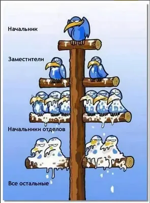 Ко Дню шефа: смешные картинки про босса и начальство - IVONA.UA