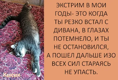 Смешные картинки про шитье