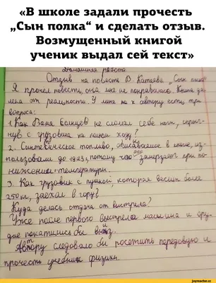 Германия: смешная дюжина веселых немецких анекдотов про школу | Мои любимые  путешествия | Дзен