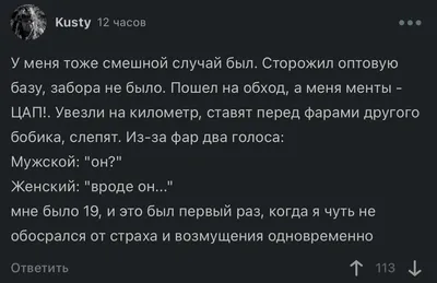 Конец века. Следователь-поджигатель и гроссмейстер Анатолий Карпов в  Воронеже